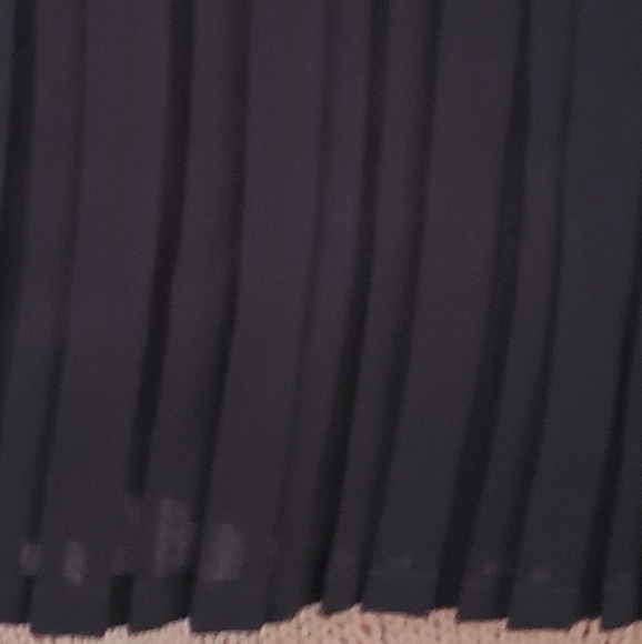 Black pleated Skirt - Picture 2 of 9